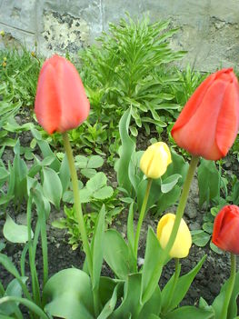 DSC00413
