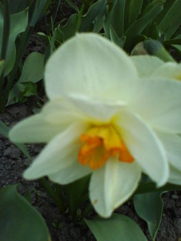 DSC00415