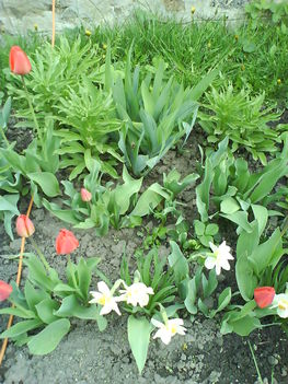 DSC00416