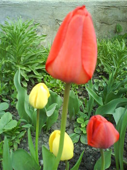 DSC00417