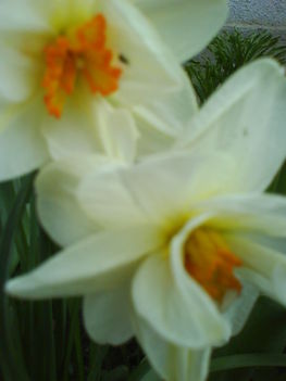 DSC00418