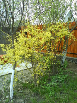 DSC00419