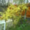 DSC00419