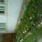 DSC00454