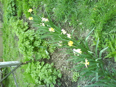 DSC00457