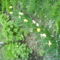 DSC00457