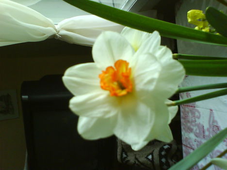 DSC00458
