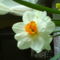 DSC00458