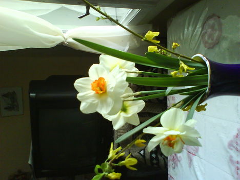 DSC00459