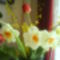 DSC00464
