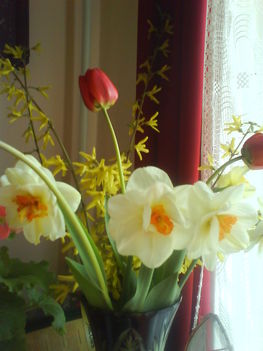 DSC00466