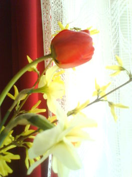 DSC00467