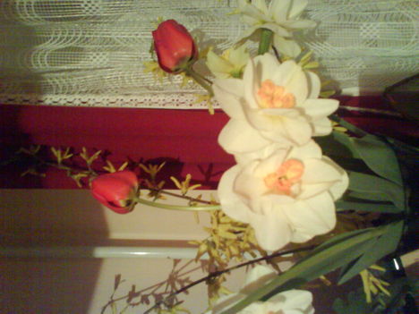 DSC00516
