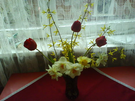 DSC00522