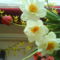 DSC00523