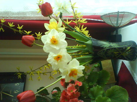 DSC00525