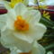 DSC00526