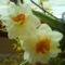 DSC00527