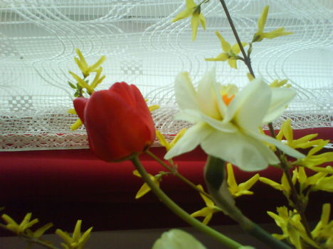 DSC00528
