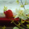 DSC00528