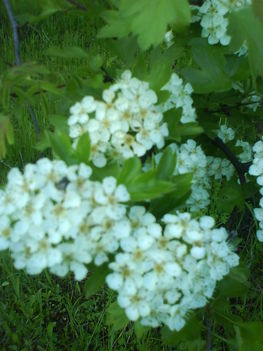 DSC00760