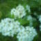 DSC00760