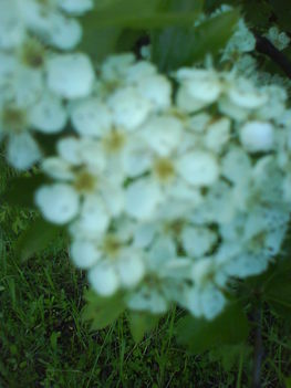DSC00761