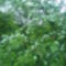 DSC00762