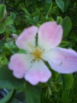 DSC00764