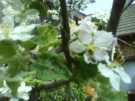 DSC00797