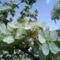 DSC00798