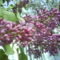 DSC00804
