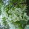 DSC00805
