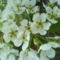 DSC00806