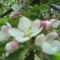 DSC00808