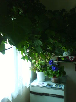 DSC00812