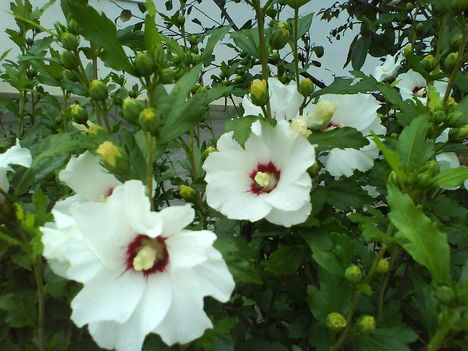 DSC01031