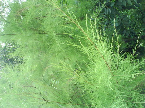 DSC01040
