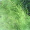 DSC01040