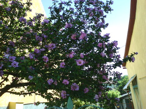 DSC01055