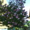 DSC01055