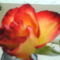 DSC02105