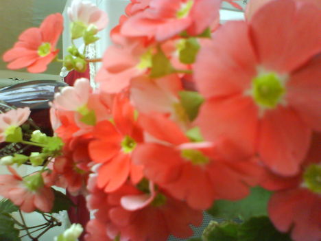 DSC02106