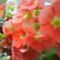 DSC02106