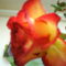 DSC02107