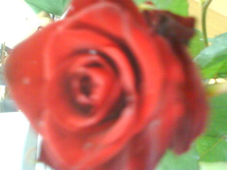 DSC02111