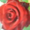 DSC02111