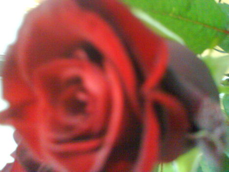 DSC02112