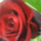 DSC02112