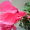 DSC02118